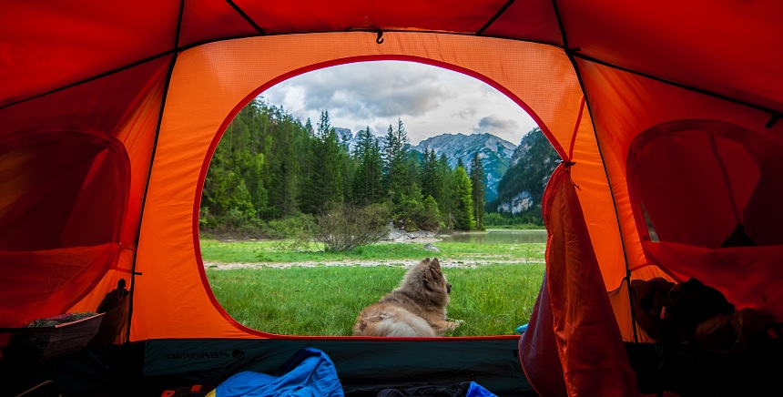 Nos vamos de camping. Domestica tu Economía