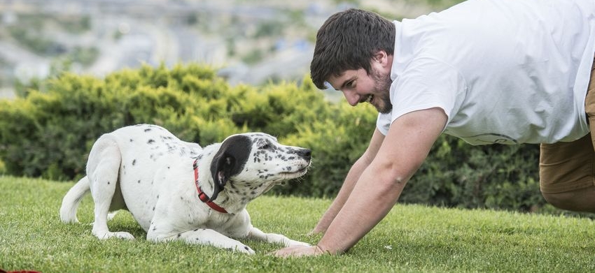 Sabes lo que cuesta al año un perro o un gato