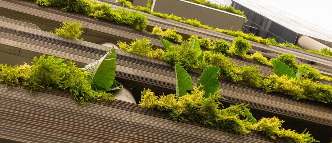 Certificado VERDE para inmuebles: qué es y cómo funciona