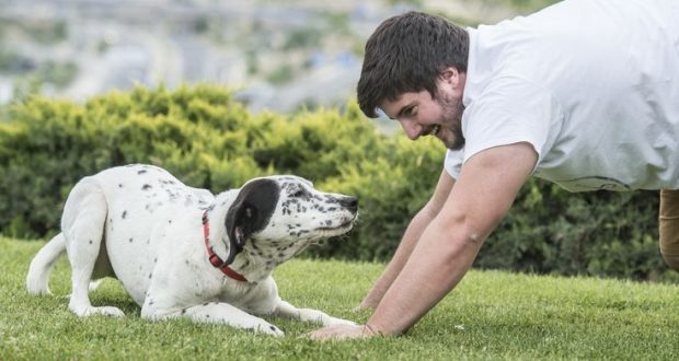 Sabes lo que cuesta al año un perro o un gato