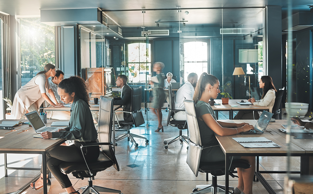 Transmisión de empresas: qué es y cómo funciona