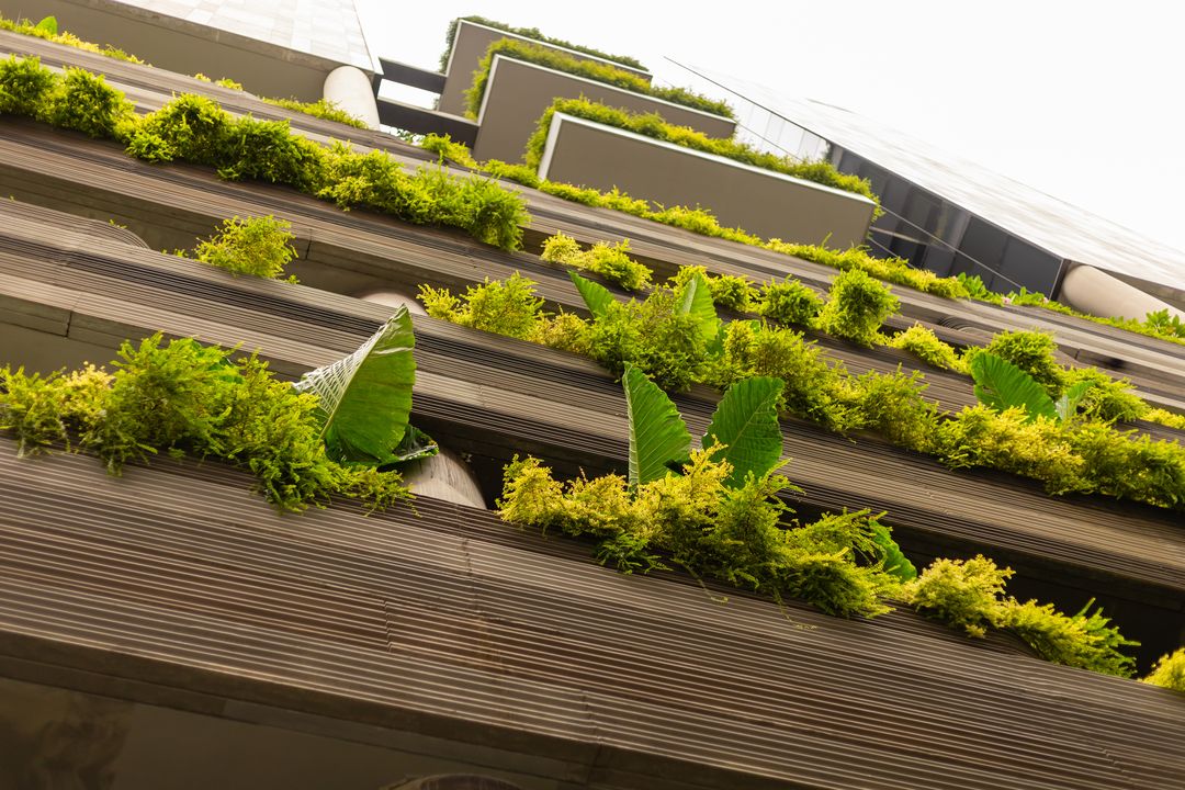 Certificado VERDE para inmuebles: qué es y cómo funciona